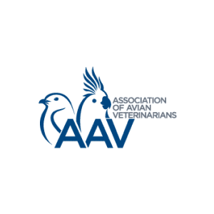 AAV logo